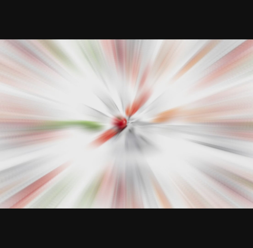 6-in-1 Multifunction Food Chopper – Fast & Safe Kitchen Prep